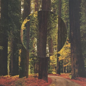 Lost by Erin Houghton