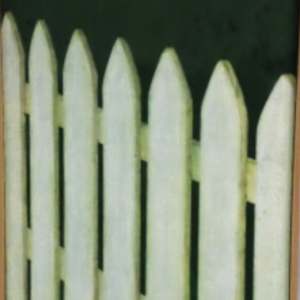 Fence-Picket by Gloria Gonzales Garcia