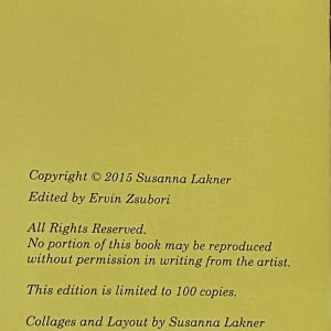 The Inside Story  Image: Book page - The Inside Story by Susanna Lakner