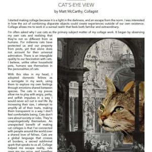 Univited Guest by Matt McCarthy 