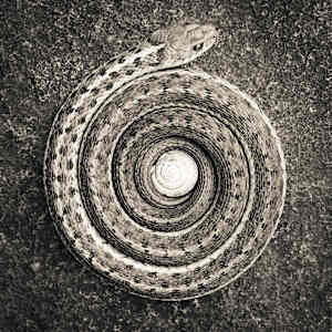 Equinox I by Kelly Sinclair