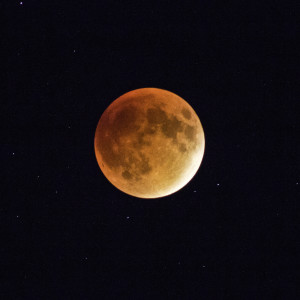 Eclipse, Blood Moon by Kelly Sinclair
