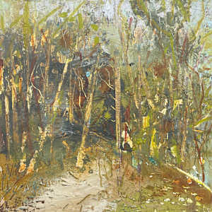 A Clearing by Lesley Birch