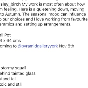 Tall Jug by Lesley Birch 