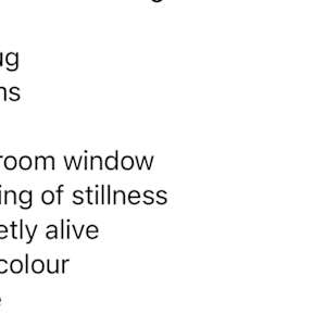 A Green Jug by Lesley Birch 