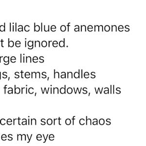 Anemones with a Blue Jug by Lesley Birch 