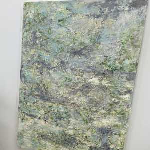 Lichen by Shelley Vanderbyl 