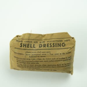Shell Dressing (Found Object) by Shelley Vanderbyl