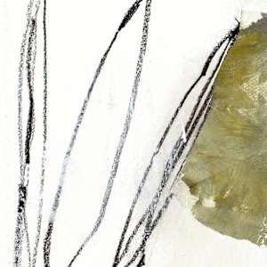 paper 1612.08 by Thérèse Murdza 