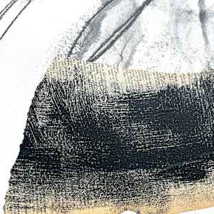 paper 1612.101 by Thérèse Murdza 