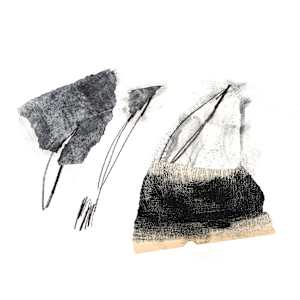 paper 1612.101 by Thérèse Murdza
