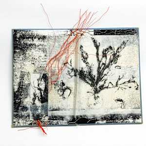 An Unstable Edition by Caroline Fraser, Image 1.