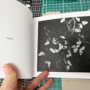 forest - limited edition hand sewn book by Caroline Fraser 