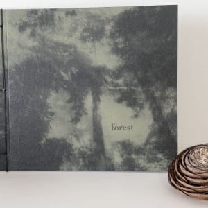 forest - limited edition hand sewn book by Caroline Fraser  Image: forest- front cover