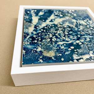 Reef Life (1/1) by Caroline Fraser 