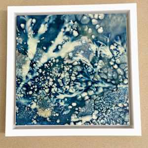 Reef Life (1/1) by Caroline Fraser  Image: Reef Life 1/1