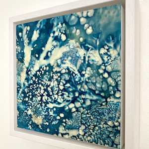Reef Life (1/1) by Caroline Fraser
