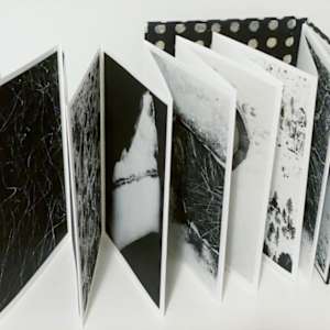 Under a Cold North Sky by Caroline Fraser