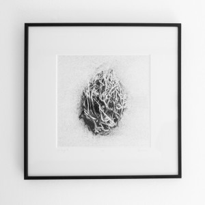 findings 9 (limited edition framed photograph) by caroline fraser 