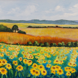 Golden Fields and Sunflowers by Alexandra Kassing