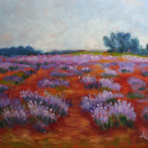 Lavender Polka by Alexandra Kassing