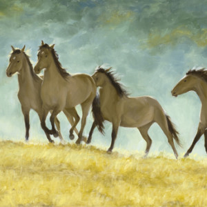 Race to the Top, Kiger Mustangs by Roseann Munger