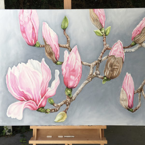 Pink Magnolias - Mt Dandenong Botanic Gardens by Alicia Cornwell 
