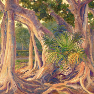 Old Naples Banyan by Dianna Anderson