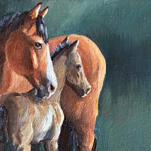 Waiting for Natalie by Alexandra Verboom Fritz