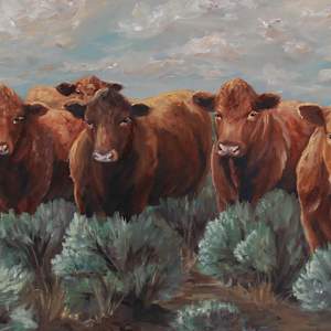 Red Heifers in Sage by Alexandra Verboom Fritz