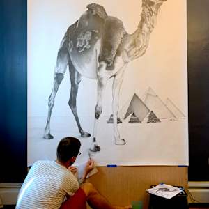 Camel by Gunnar Norquist 