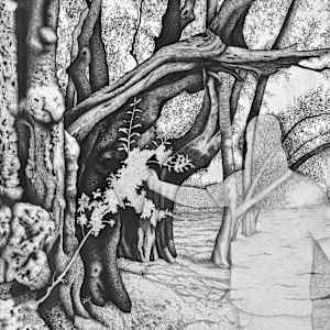 Sumud by Gunnar Norquist, Image 2.