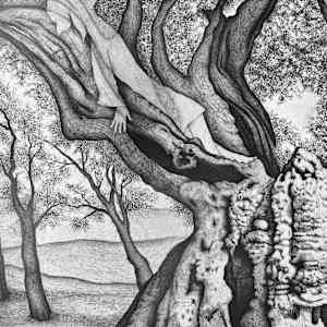 Sumud by Gunnar Norquist, Image 1.