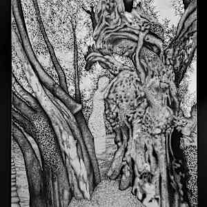 Sumud Tree by Gunnar Norquist  Image: Petition