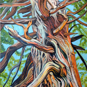 Nookomis Giizhik "Grandmother Cedar" by Heather Friedli