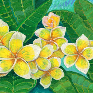 Plumeria by Heather Friedli