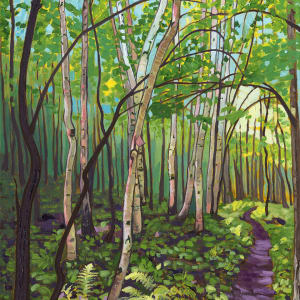 Birches by Heather Friedli