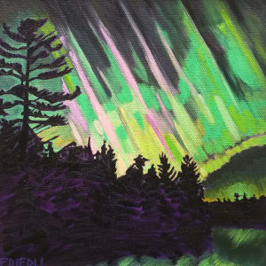 Aurora Lights by Heather Friedli