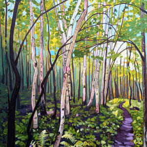 Birches by Heather Friedli