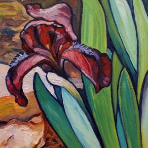 Irresistible Iris by Heather Friedli