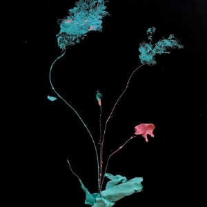 Ikebana vertical by Lorena Ventimiglia