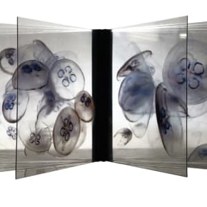 Aquarium de la serie "Ad infinitum" by Jacques Bedel