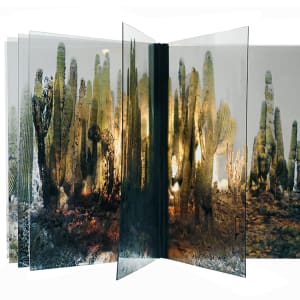 Cardón de la serie "Ad infinitum" by Jacques Bedel, Image 1.