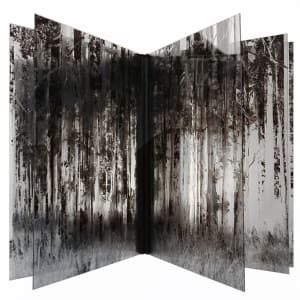 Forest de la serie "Ad infinitum" by Jacques Bedel