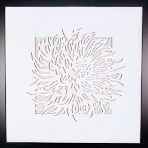 Anemone by Daniel Voelker