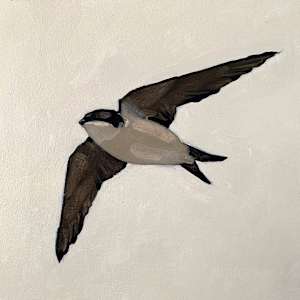 Bird and Broom by Suzanna Schlemm 