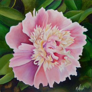 Pink Peony by Emma Knight