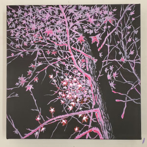 Illuminated Tree by Brian Balicki
