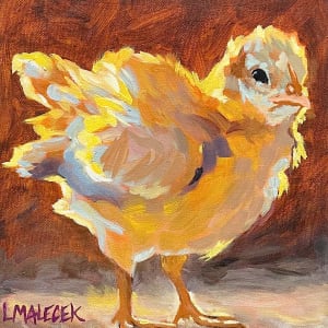 Spring chick by Laura Malacek