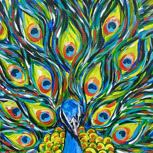 Peacock by Ashley Davis